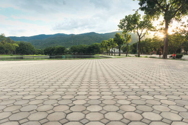 Best Commercial Driveway Pavers  in Bay City, TX